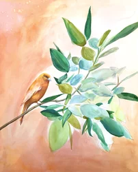 Sucursal de Orange Bird