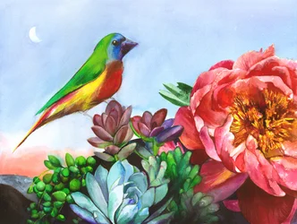 Jardín de peonías «Vibrant Bird»