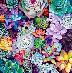 Un jardín de suculentas lleno de vida