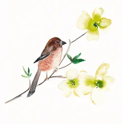 Acuarela: pájaros y flores