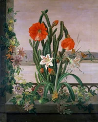 Naturaleza muerta de cactus, lirios y pasionarias en el alféizar de la ventana. Pintura de Christine Marie Lovmand (1803-1872). Colección particular.