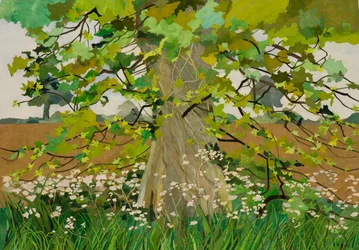 Árbol de Darcy, 2011 (collage de papel pintado con acuarela)