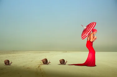 Un elegante viaje en rojo