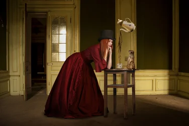 Té «Elegant Woman Meerkat»