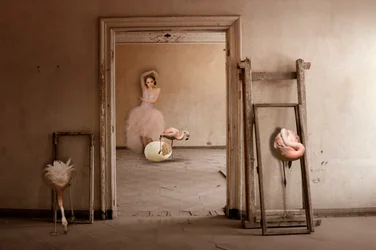 El sueño del ballet de los flamencos