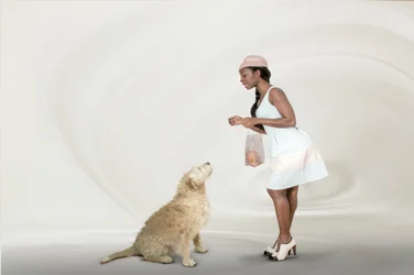 La hora de las golosinas para el golden retriever
