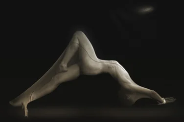 Una silueta femenina y elegante