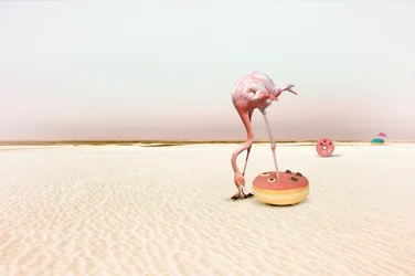 El sueño de la rosquilla «Flamenco rosa»