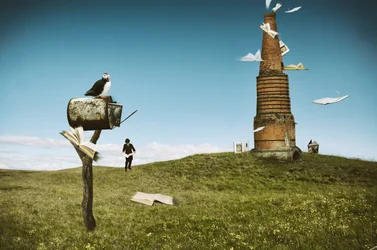 Libros de «Puffin Flying»