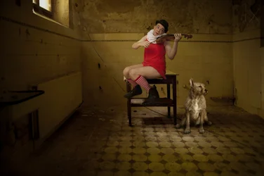 Serenata en una habitación peculiar