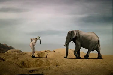 Un encuentro surrealista en el desierto