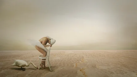 La soledad de la bailarina del cisne