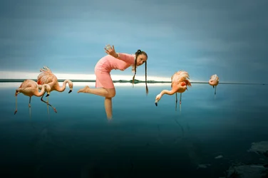 Una mujer entre flamencos