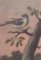 Un pájaro en una rama