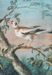 Un pájaro sentado en una rama