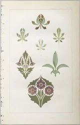 El arte del diseño decorativo: con un apéndice, dando las horas del día en que las flores se abren, publicado por Day & Son, Londres, 1862