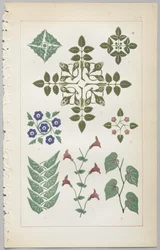 El arte del diseño decorativo: con un apéndice, dando las horas del día en que las flores se abren, publicado por Day & Son, Londres, 1862