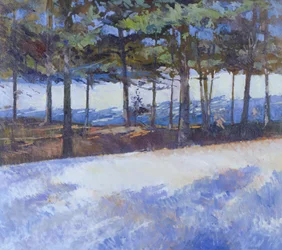 Frozen Lake, New York State (óleo sobre lienzo)