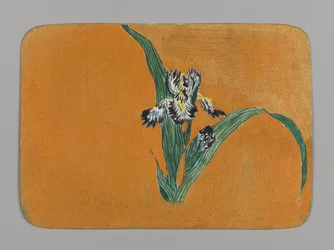 Pequeña tarjeta con iris, ca. 1880. Acuarela y tinta metálica