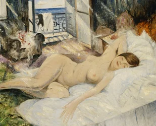 Desnudo en una cama, sur de Francia