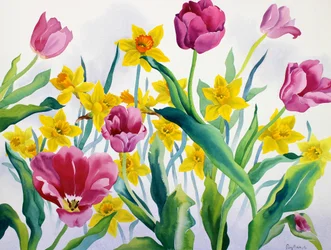 Narcisos y tulipanes