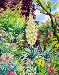 Jardín con yuca en flor