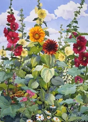 Malvarrosas y girasoles, 2003