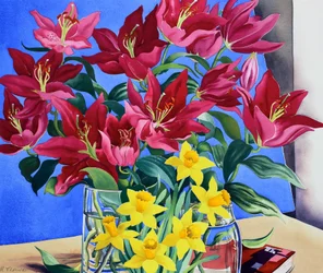 Lirios y Narcisos Magenta