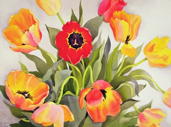 Tulipanes Naranjas y Rojos