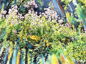 Thistledown, 2016 (acuarela sobre papel)