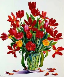 Tulipanes