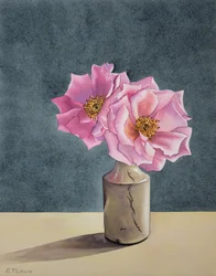 Dos rosas tardías