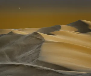 Sereno amanecer en el desierto