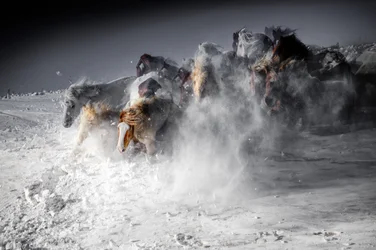 Carrera de caballos en invierno