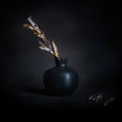 Bodegón botánico oscuro