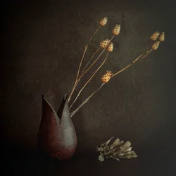Botánicos rústicos oscuros