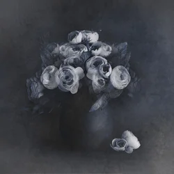 Elegantes flores grises
