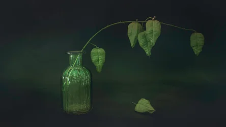 Bodegón con hoja verde