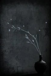 Rama minimalista con mariposas