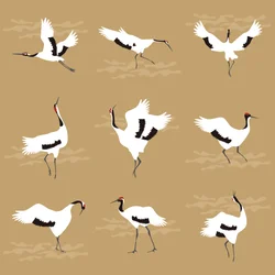 grullas orientales