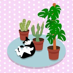 El gato y los cactus