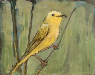 Pájaro amarillo brillante