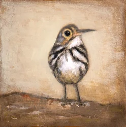 El pajarito curioso