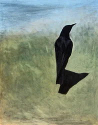 Silueta de un pájaro solitario