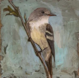 Pájaro silencioso en una rama