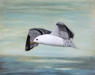 Una gaviota sobre el océano