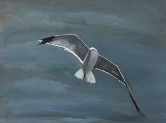 Una gaviota volando sobre el agua