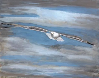 El sereno vuelo de las gaviotas