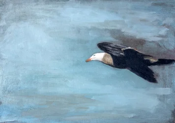 El albatros planeando en el cielo