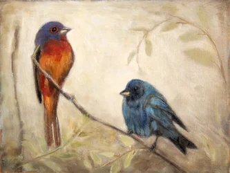 Dos pájaros coloridos
